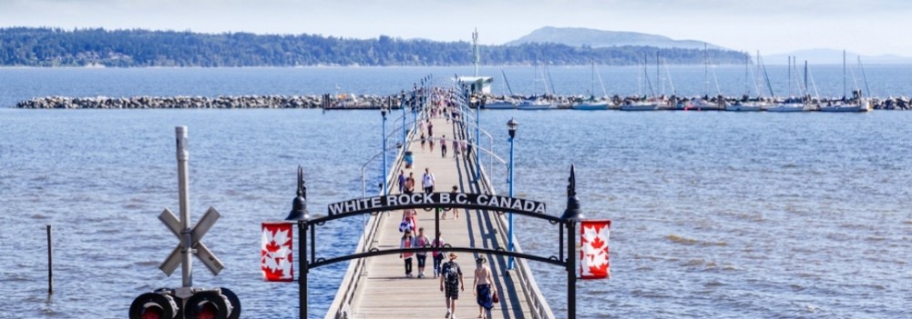 South Surrey Appliance